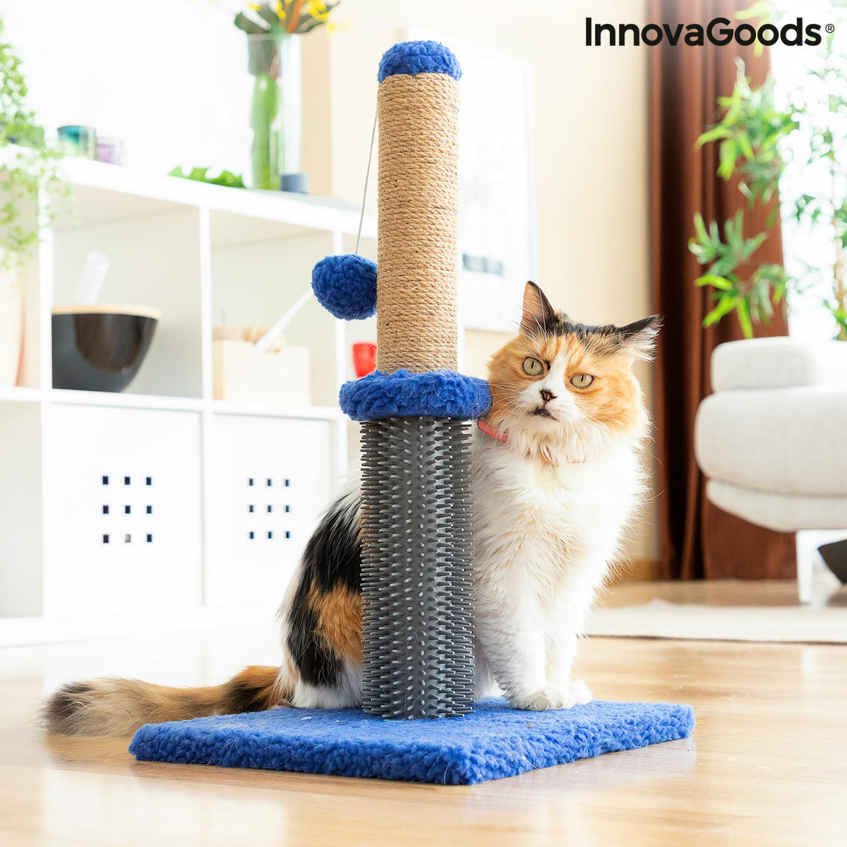Kompakter Katzen-Kratzbaum mit Massageborsten & Spielball