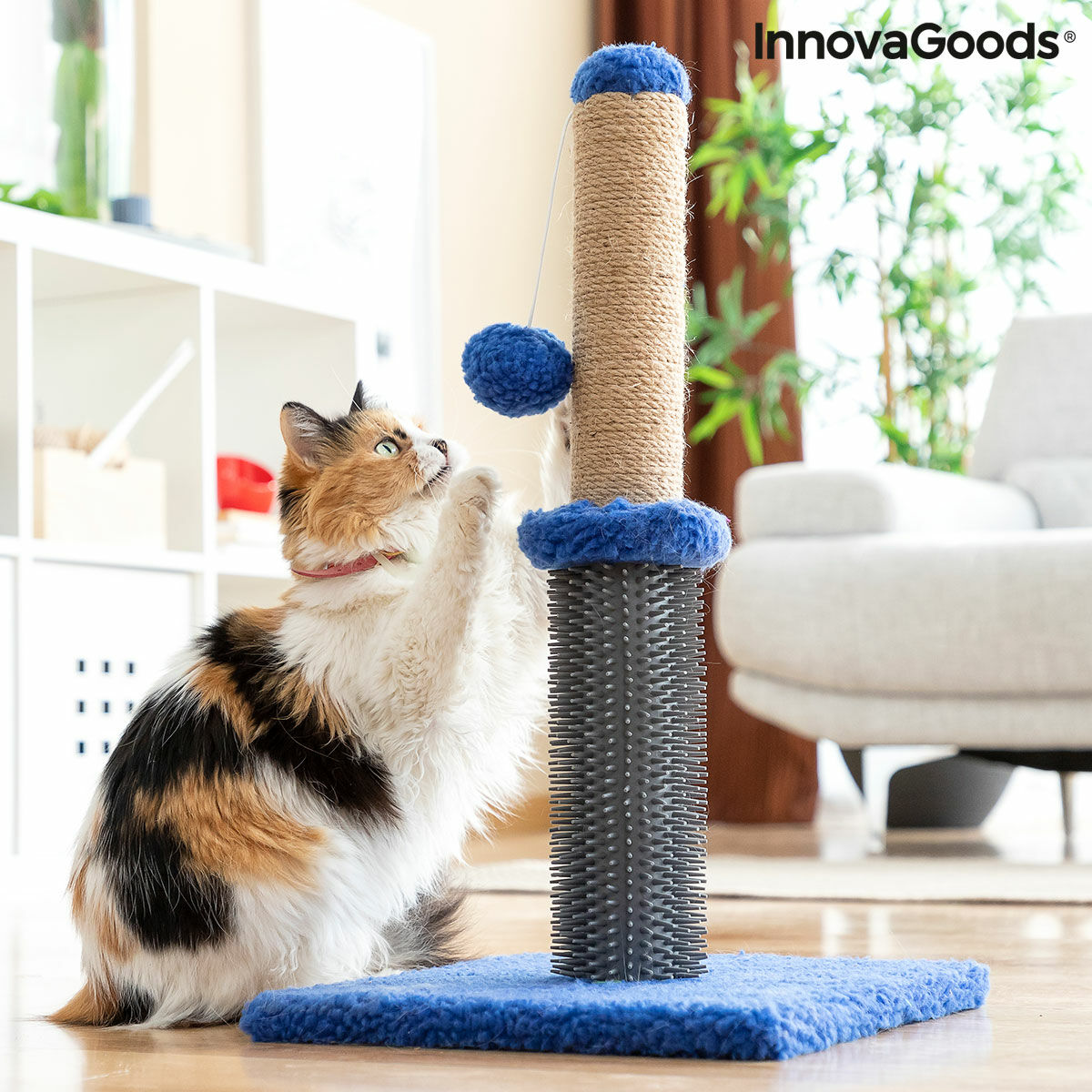 Kompakter Katzen-Kratzbaum mit Massageborsten & Spielball