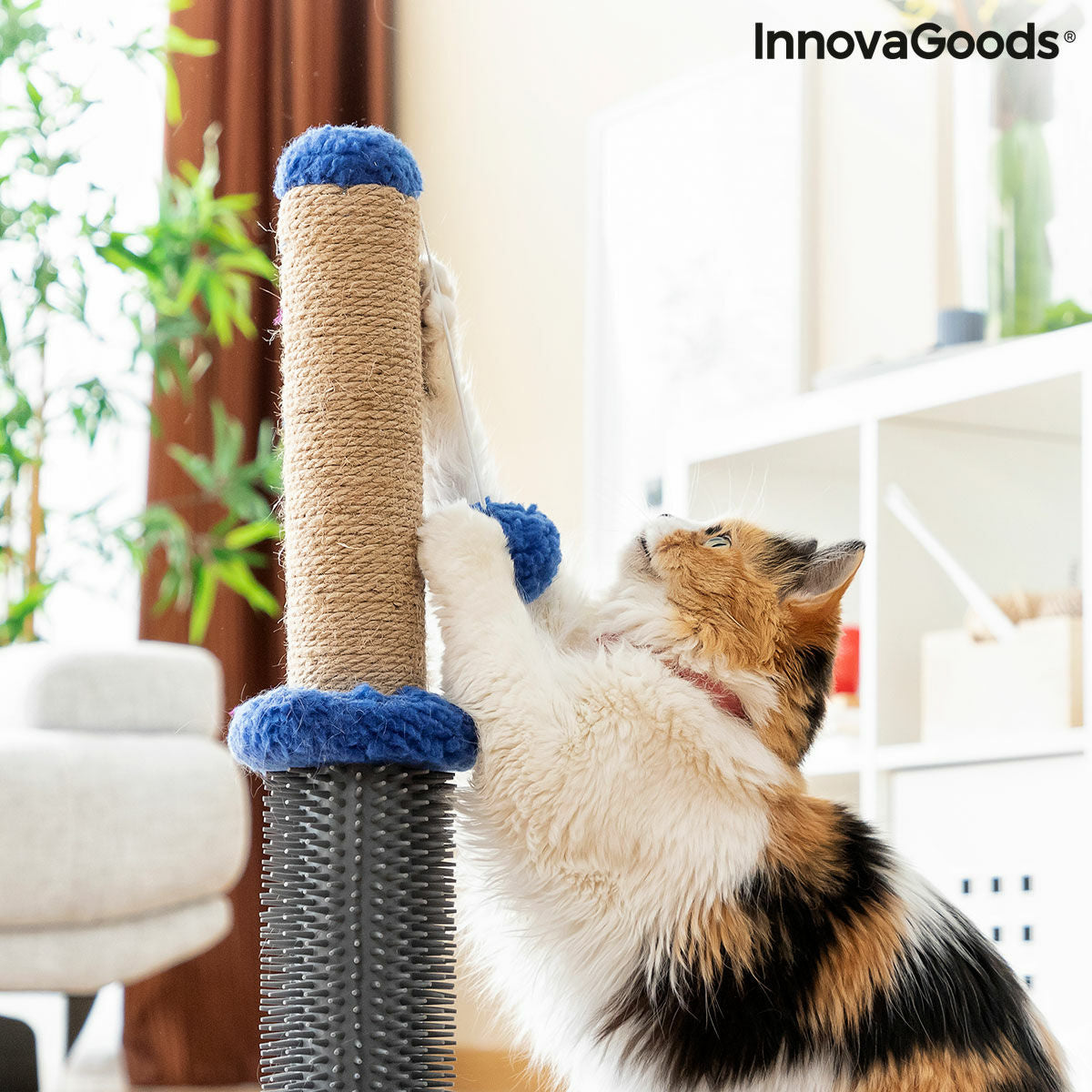 Kompakter Katzen-Kratzbaum mit Massageborsten & Spielball