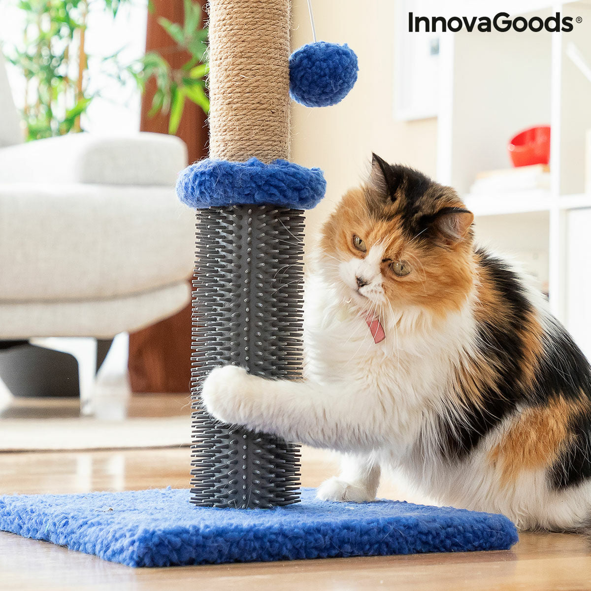 Kompakter Katzen-Kratzbaum mit Massageborsten & Spielball