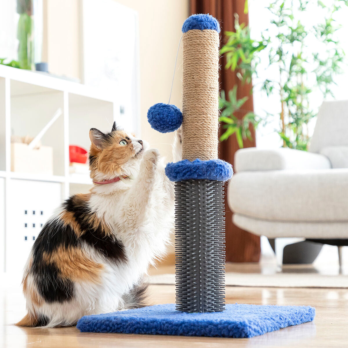 Kompakter Katzen-Kratzbaum mit Massageborsten & Spielball
