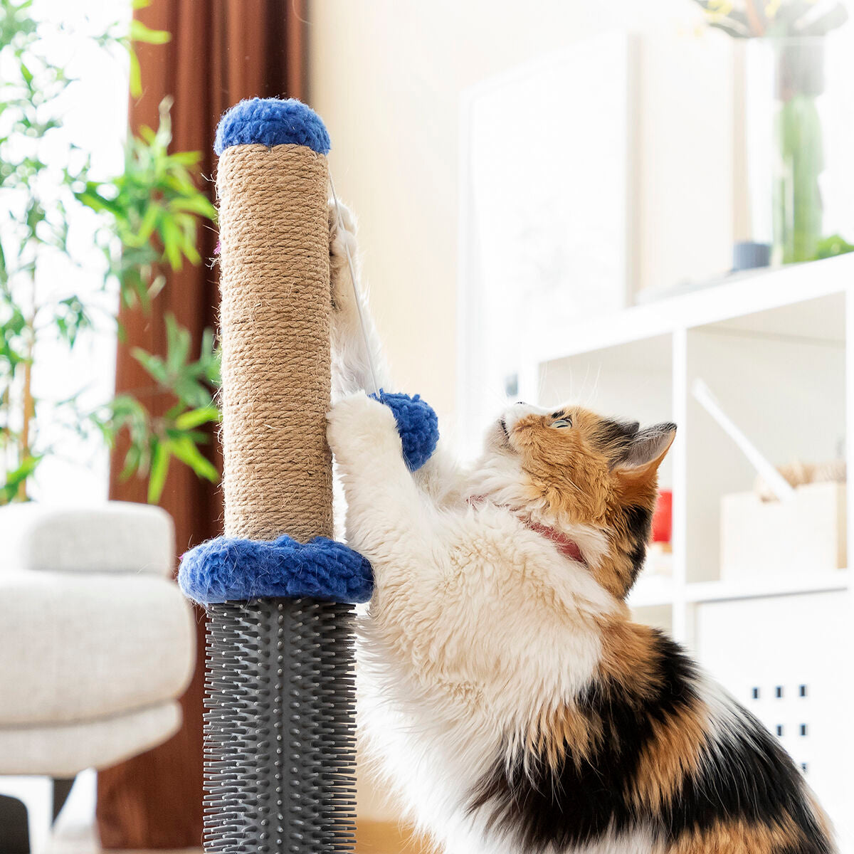 Kompakter Katzen-Kratzbaum mit Massageborsten & Spielball
