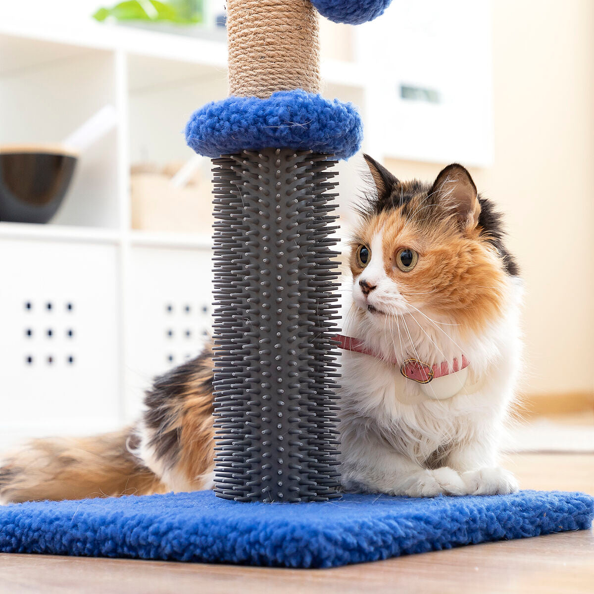 Kompakter Katzen-Kratzbaum mit Massageborsten & Spielball
